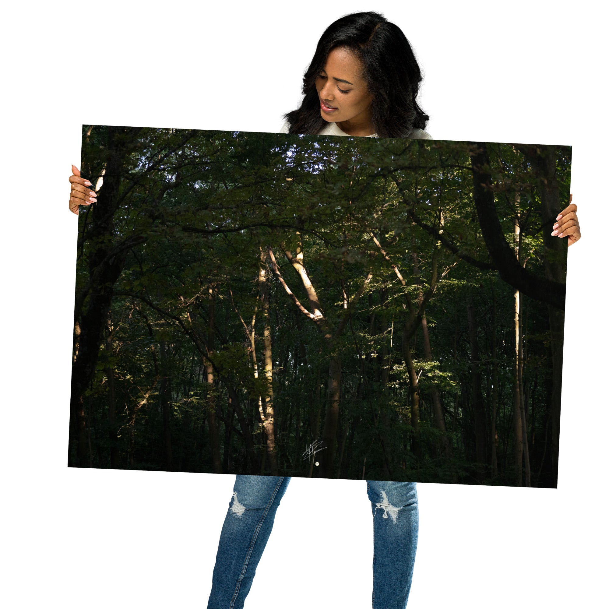 Photographie envoûtante d'une forêt dense, avec des rayons du soleil perçant la canopée, éclairant le sol forestier et les feuilles verdoyantes. Une évocation de la sérénité et de la beauté naturelle.