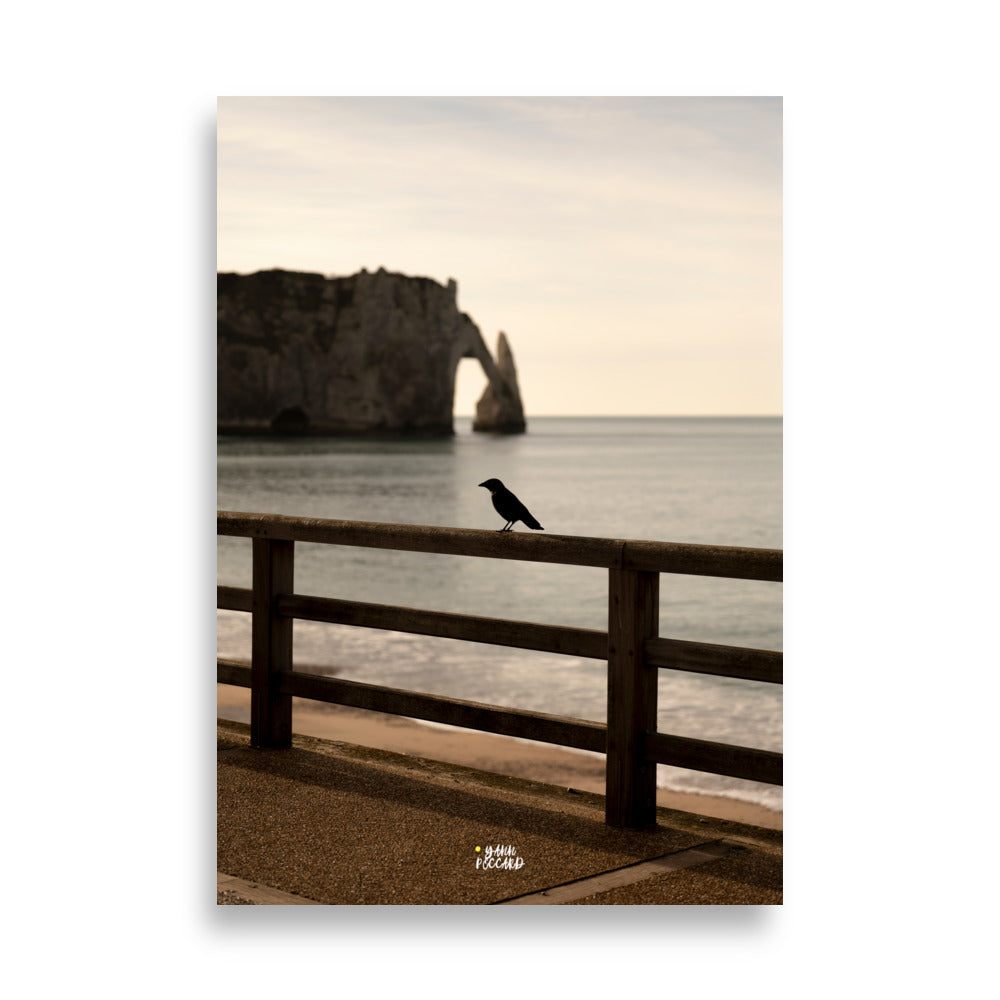 Poster Etretat France