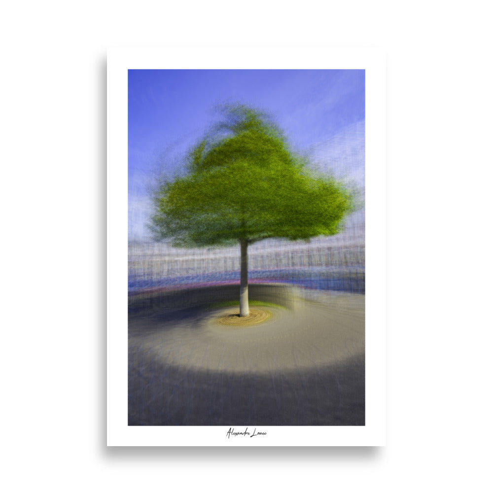 Poster photo - Arbre tournoyant - Alexandre Loaec - Affiche murale 70x100