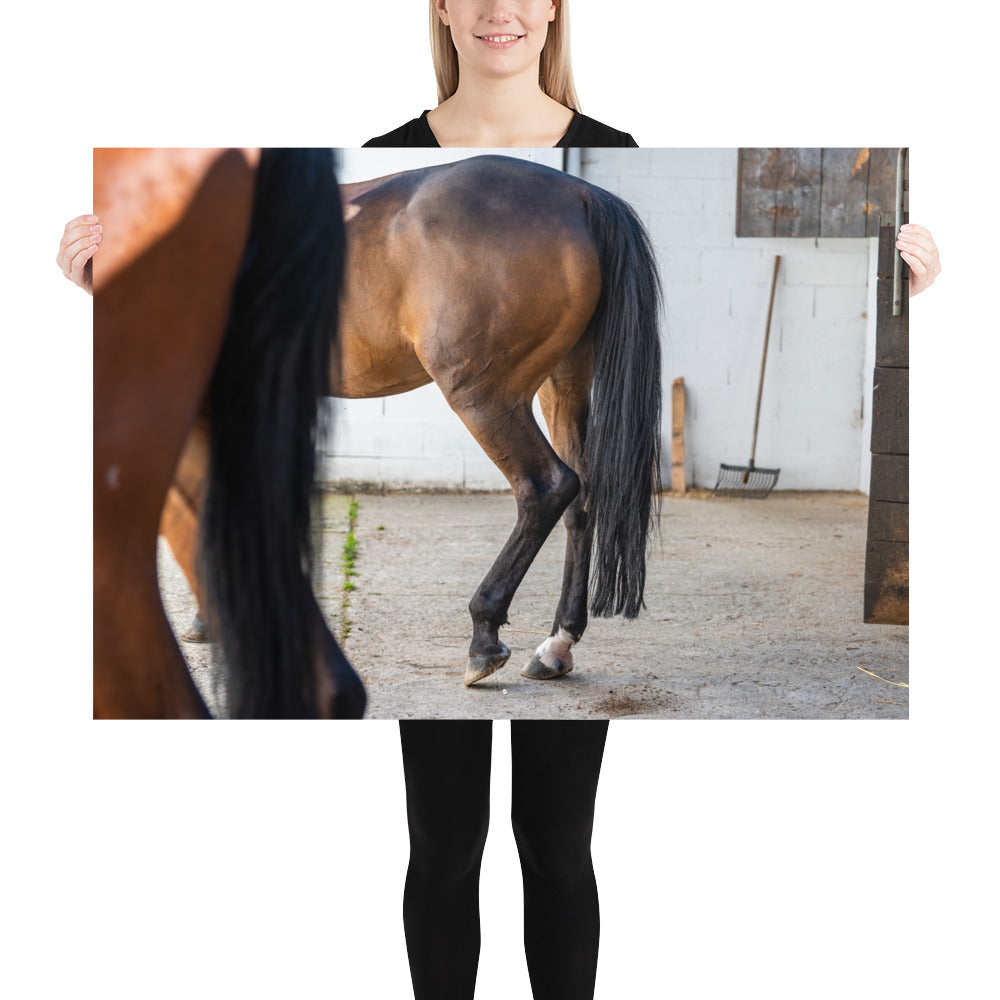 Photographie artistique 'Au repos dans l'écurie' dépeignant le mouvement gracieux d'un cheval, imprimée sur du papier de première qualité.