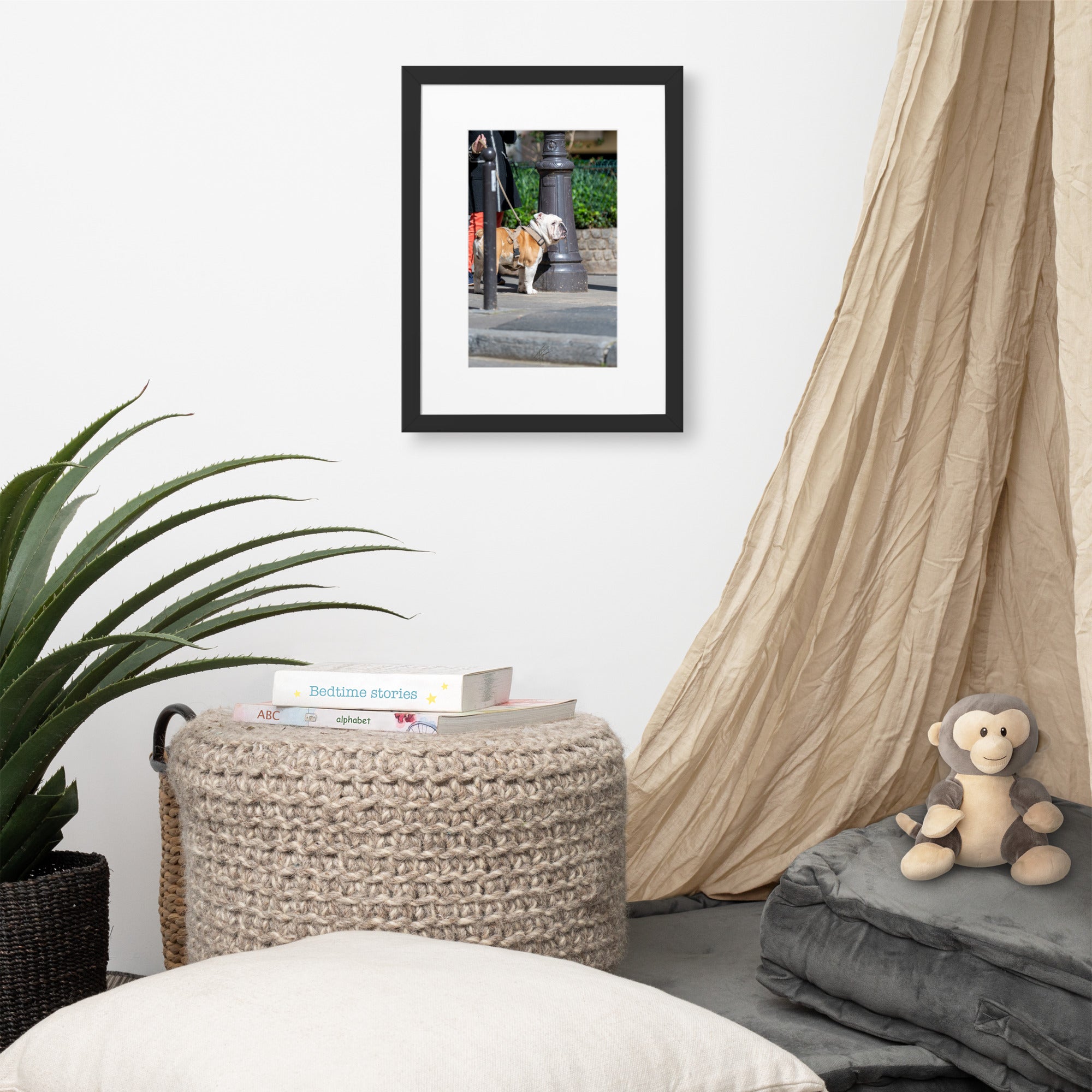 Photographie d'un Bulldog Anglais en promenade avec sa propriétaire, évoquant une scène chaleureuse et un lien profond entre l'homme et le chien.