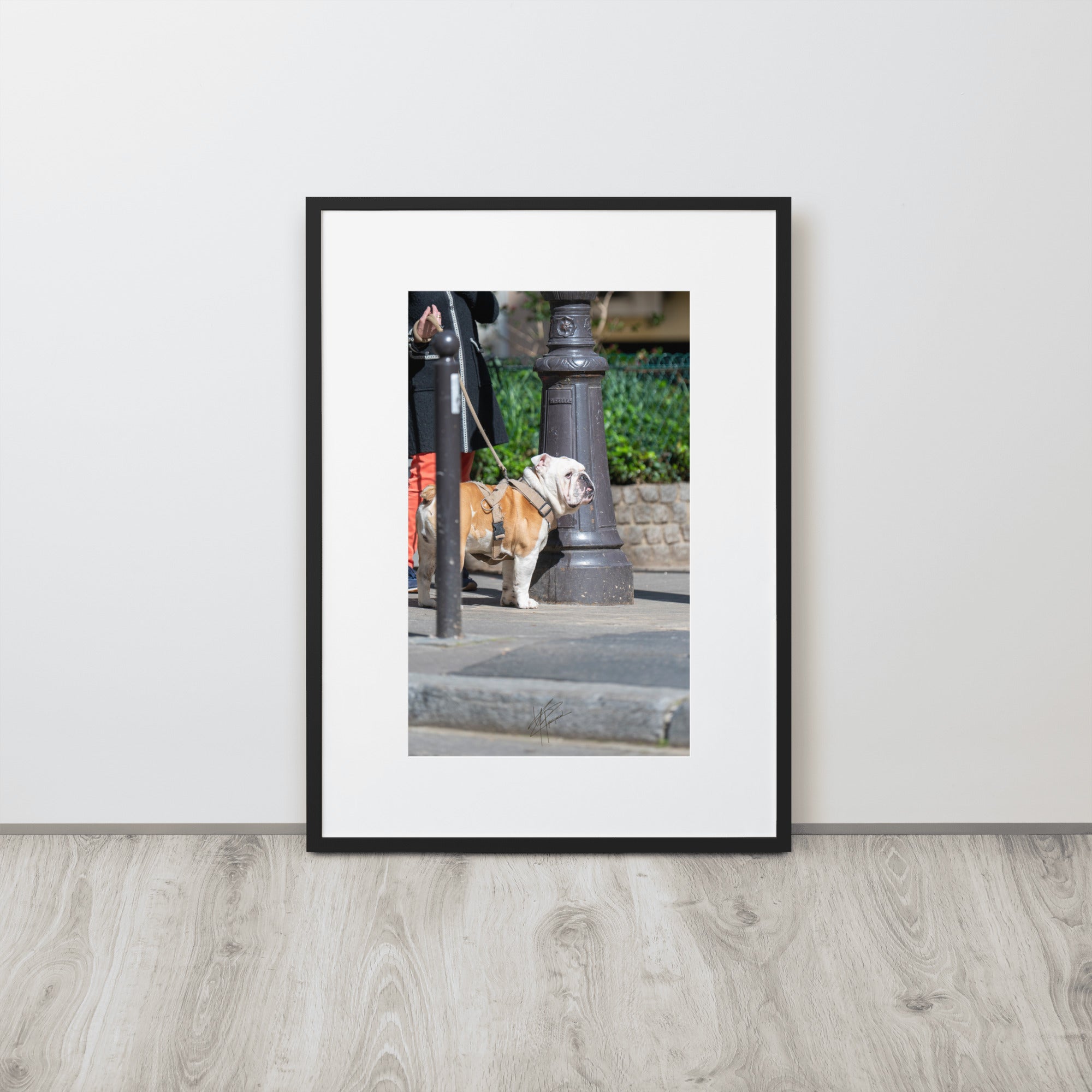 Photographie d'un Bulldog Anglais en promenade avec sa propriétaire, évoquant une scène chaleureuse et un lien profond entre l'homme et le chien.