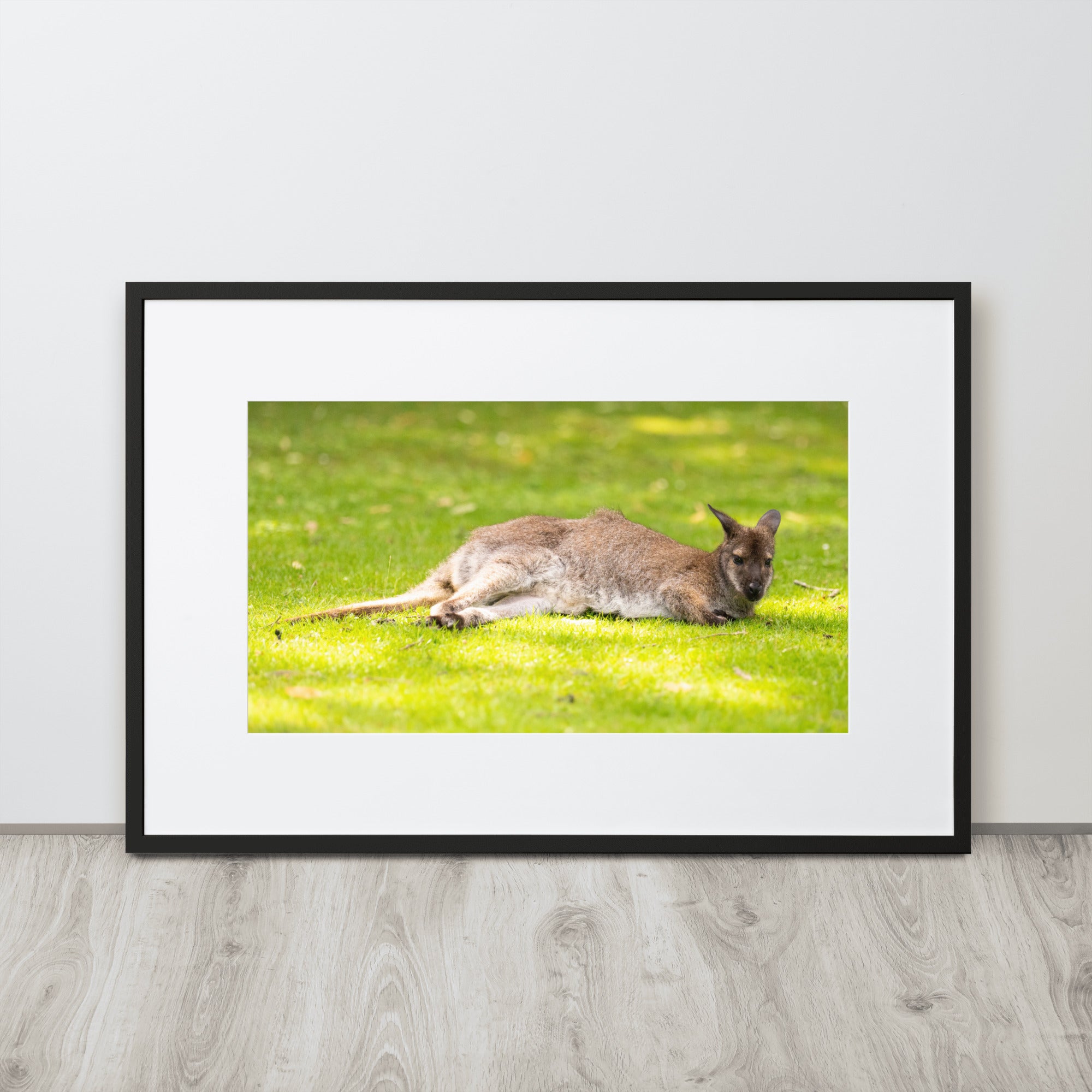 Poster animalier mettant en vedette un wallaby de Bennett reposant paisiblement dans son environnement naturel.