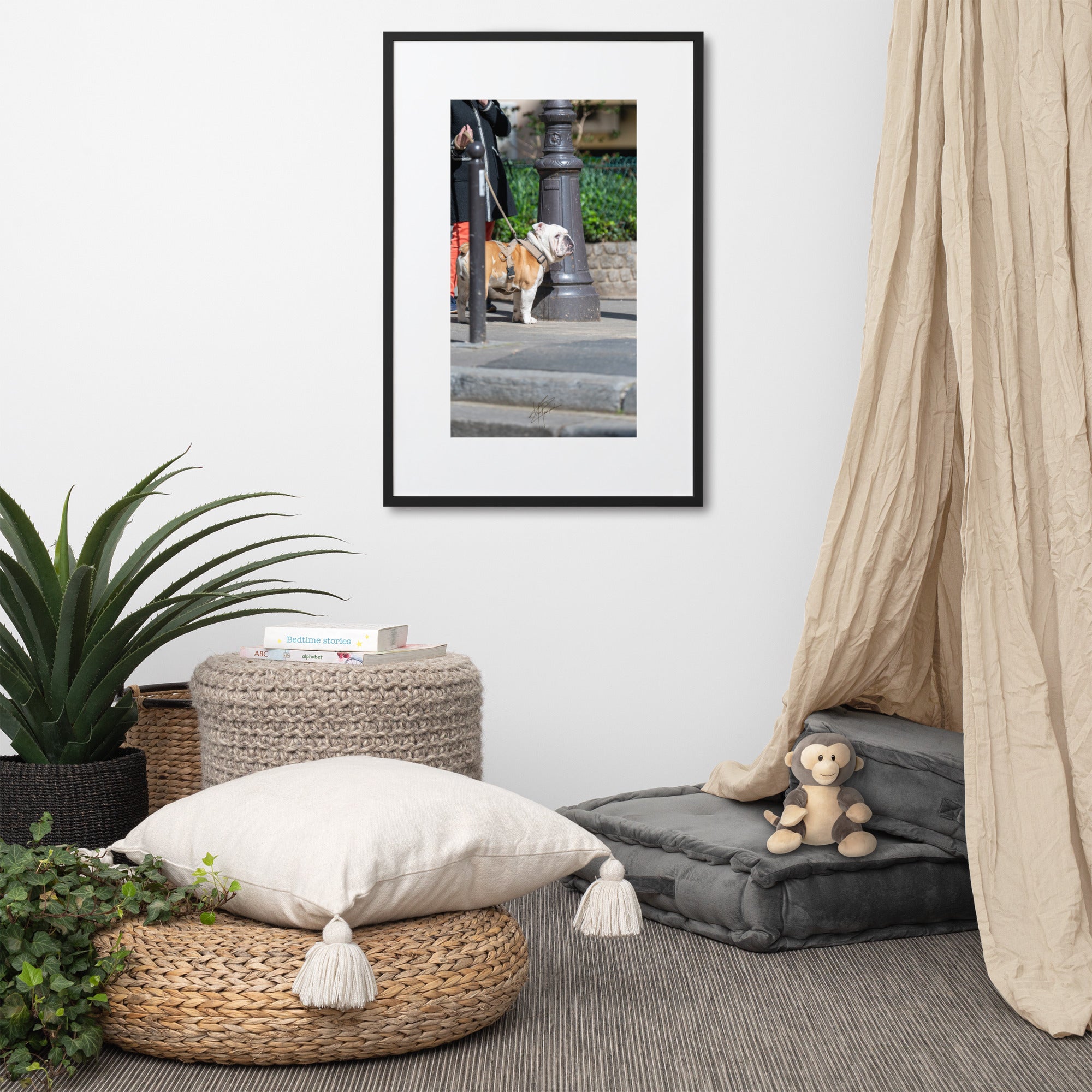 Photographie d'un Bulldog Anglais en promenade avec sa propriétaire, évoquant une scène chaleureuse et un lien profond entre l'homme et le chien.