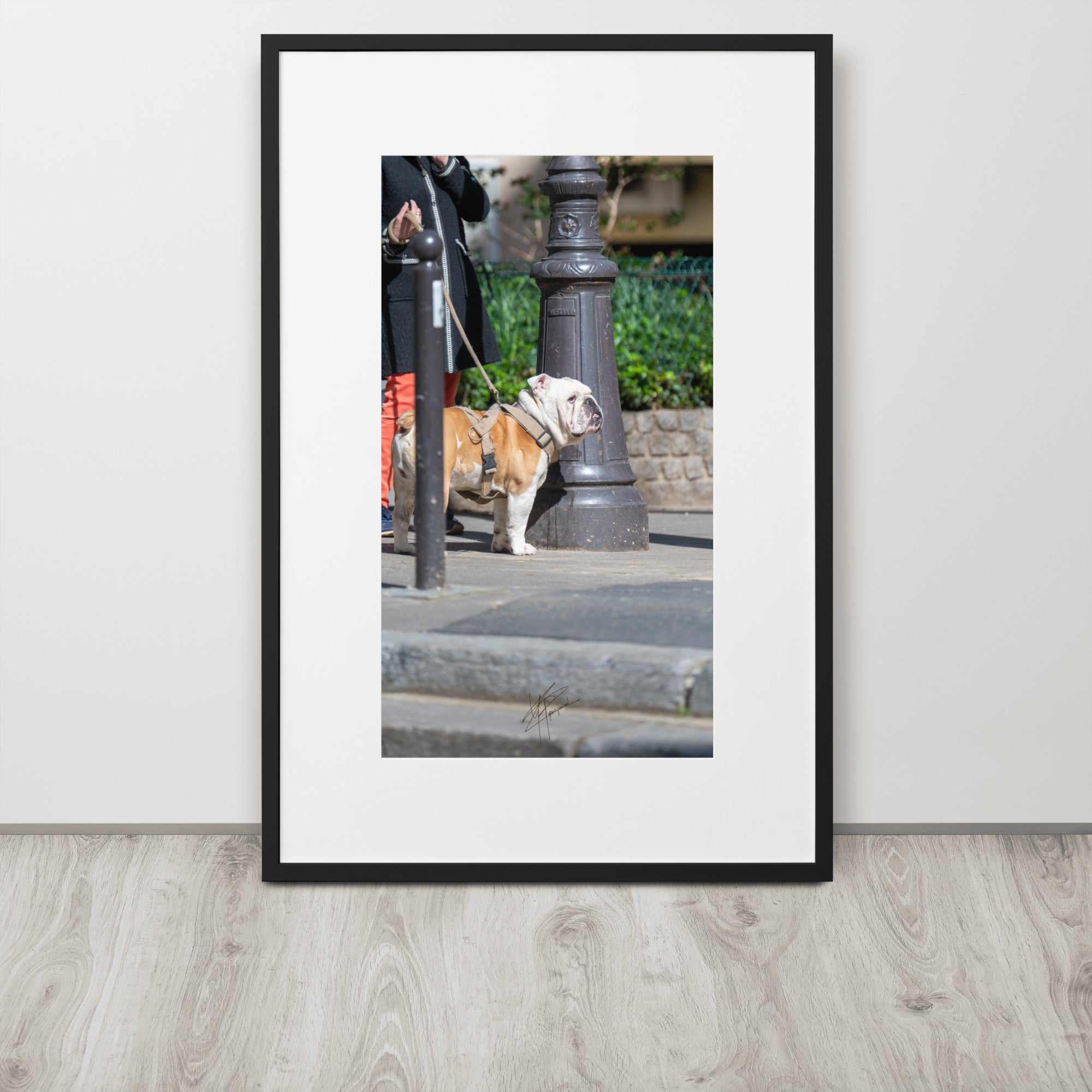 Photographie d'un Bulldog Anglais en promenade avec sa propriétaire, évoquant une scène chaleureuse et un lien profond entre l'homme et le chien.