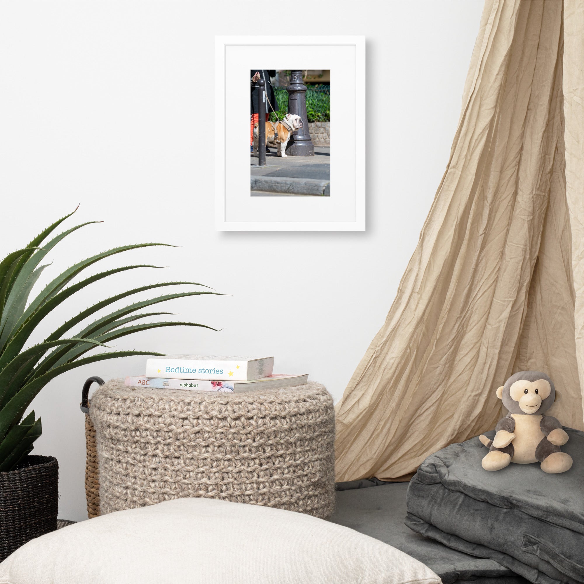 Photographie d'un Bulldog Anglais en promenade avec sa propriétaire, évoquant une scène chaleureuse et un lien profond entre l'homme et le chien.