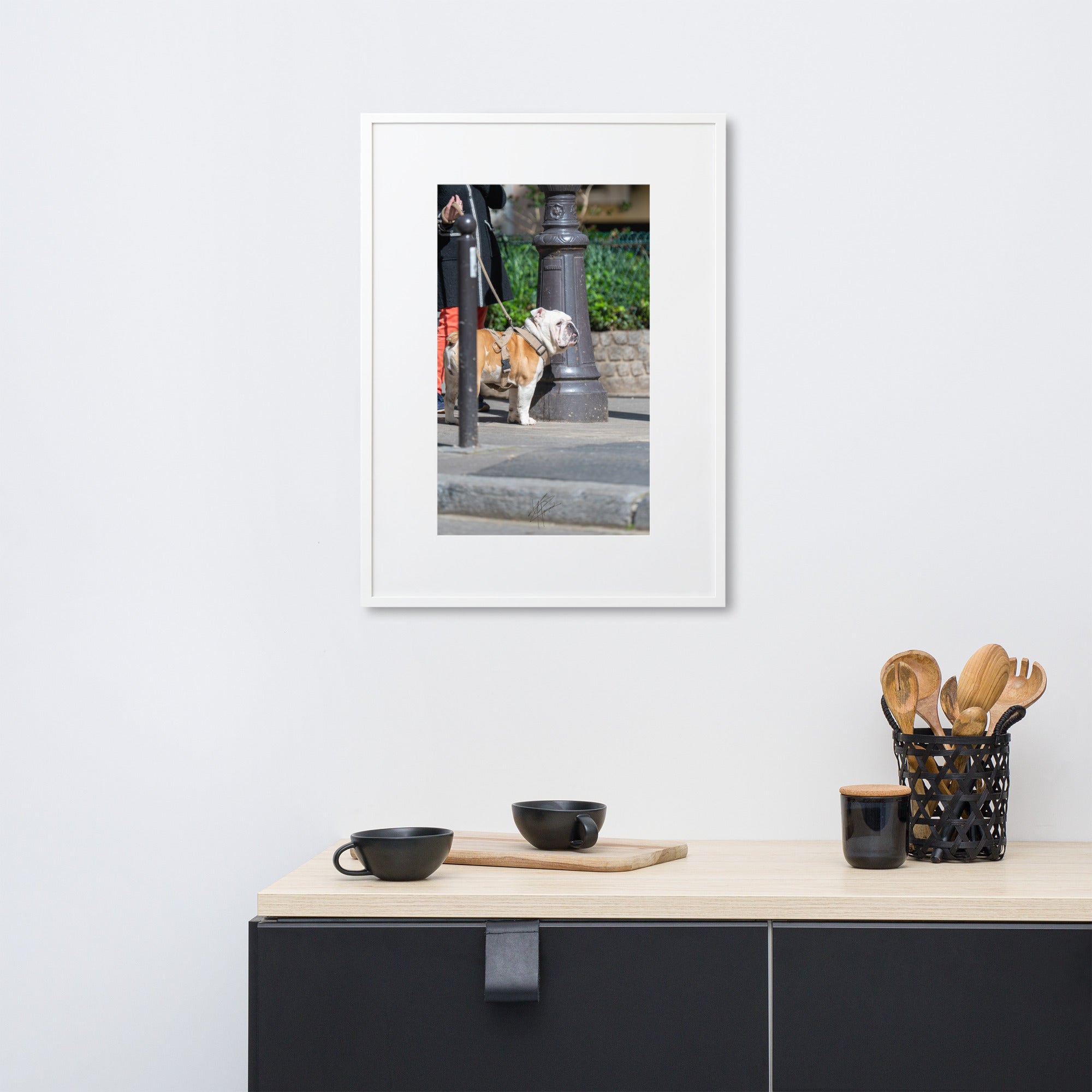 Photographie d'un Bulldog Anglais en promenade avec sa propriétaire, évoquant une scène chaleureuse et un lien profond entre l'homme et le chien.