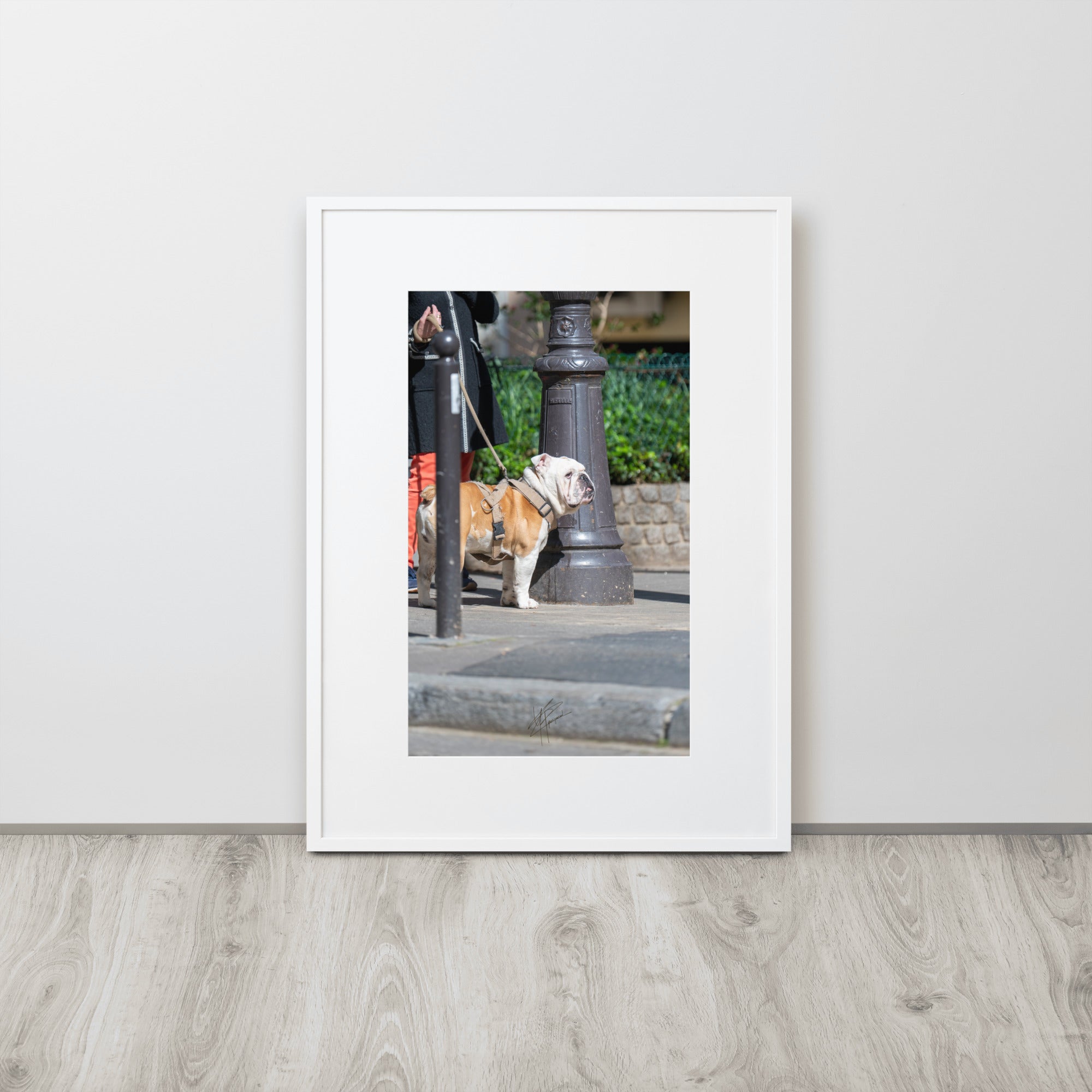 Photographie d'un Bulldog Anglais en promenade avec sa propriétaire, évoquant une scène chaleureuse et un lien profond entre l'homme et le chien.