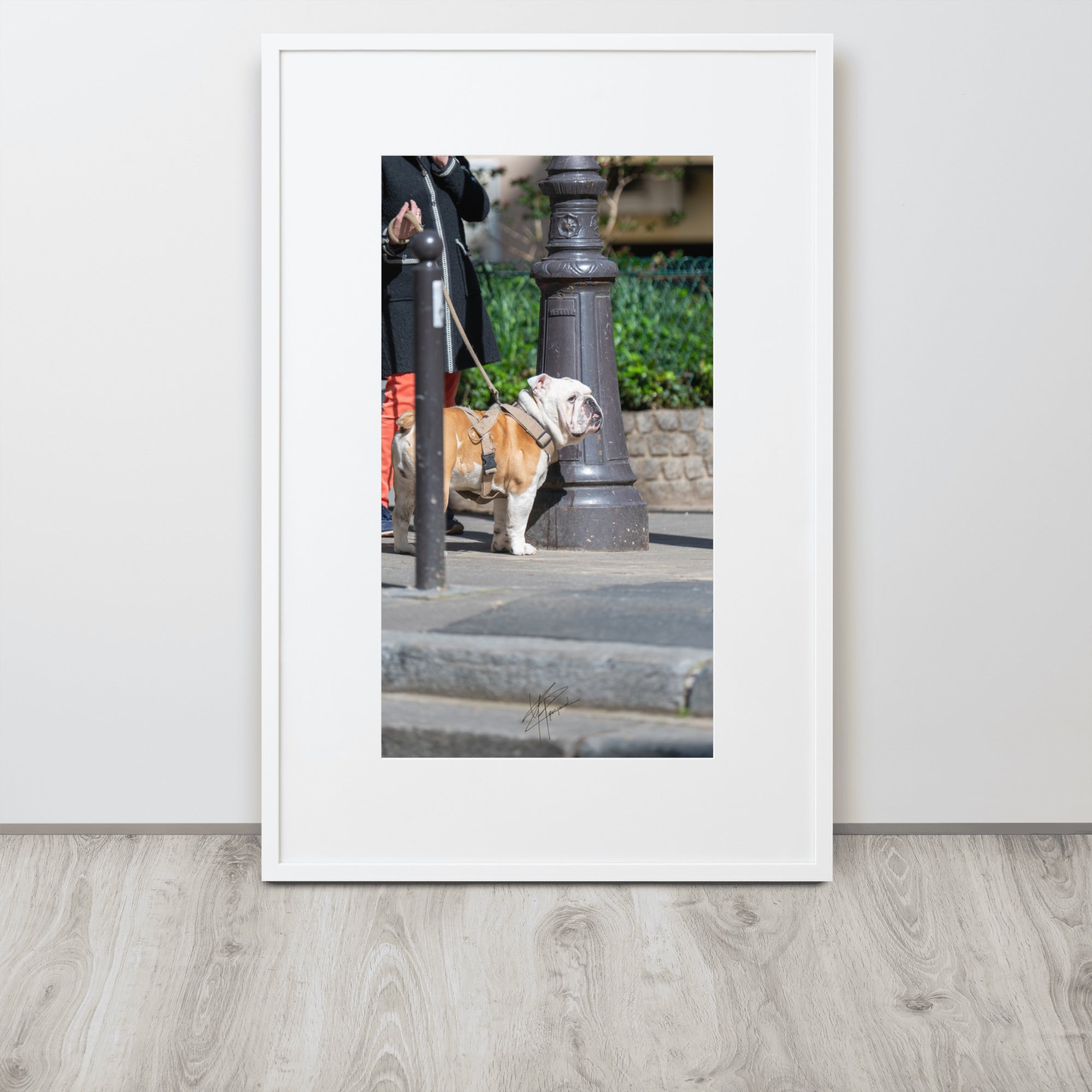 Photographie d'un Bulldog Anglais en promenade avec sa propriétaire, évoquant une scène chaleureuse et un lien profond entre l'homme et le chien.