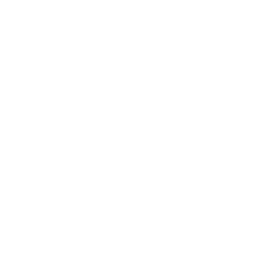 Entreprise eco résponsable. Décorer votre maison et planter des arbres.