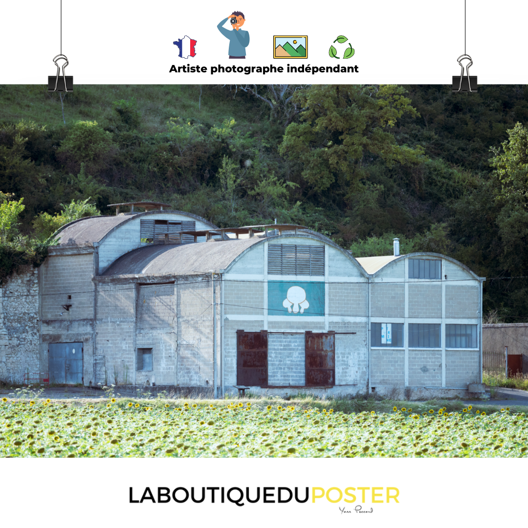 Poster mural - L'usine de champignons – Photographie de voyage – Poster photo, poster XXL, Photo d’art, photographie murale et des posters muraux des photographies de rue unique au monde. La boutique de posters créée par un Photographe français.