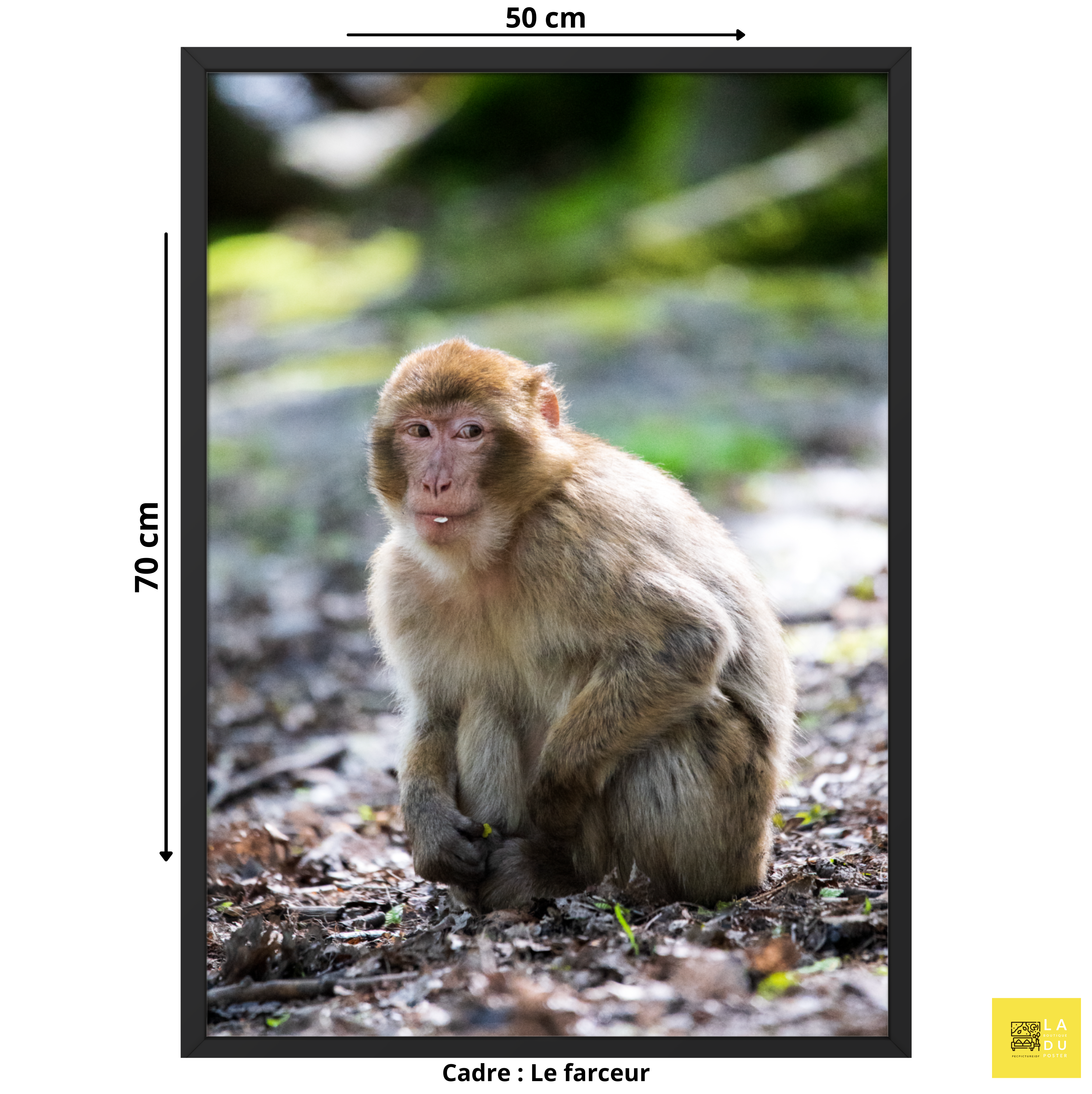 Le farceur - Poster encadré - La boutique du poster Français