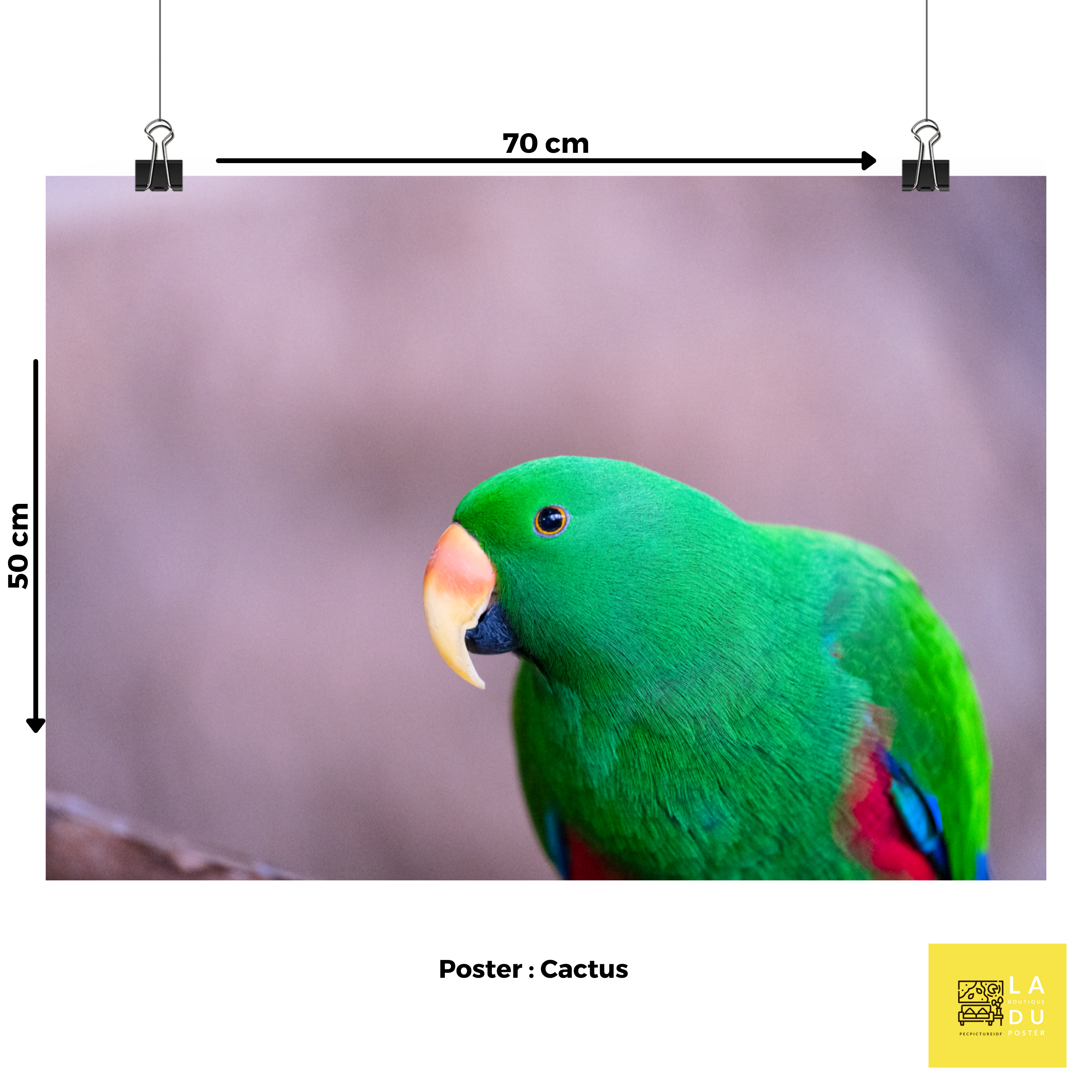 Grand Eclectus N03 - Poster - La boutique du poster Français