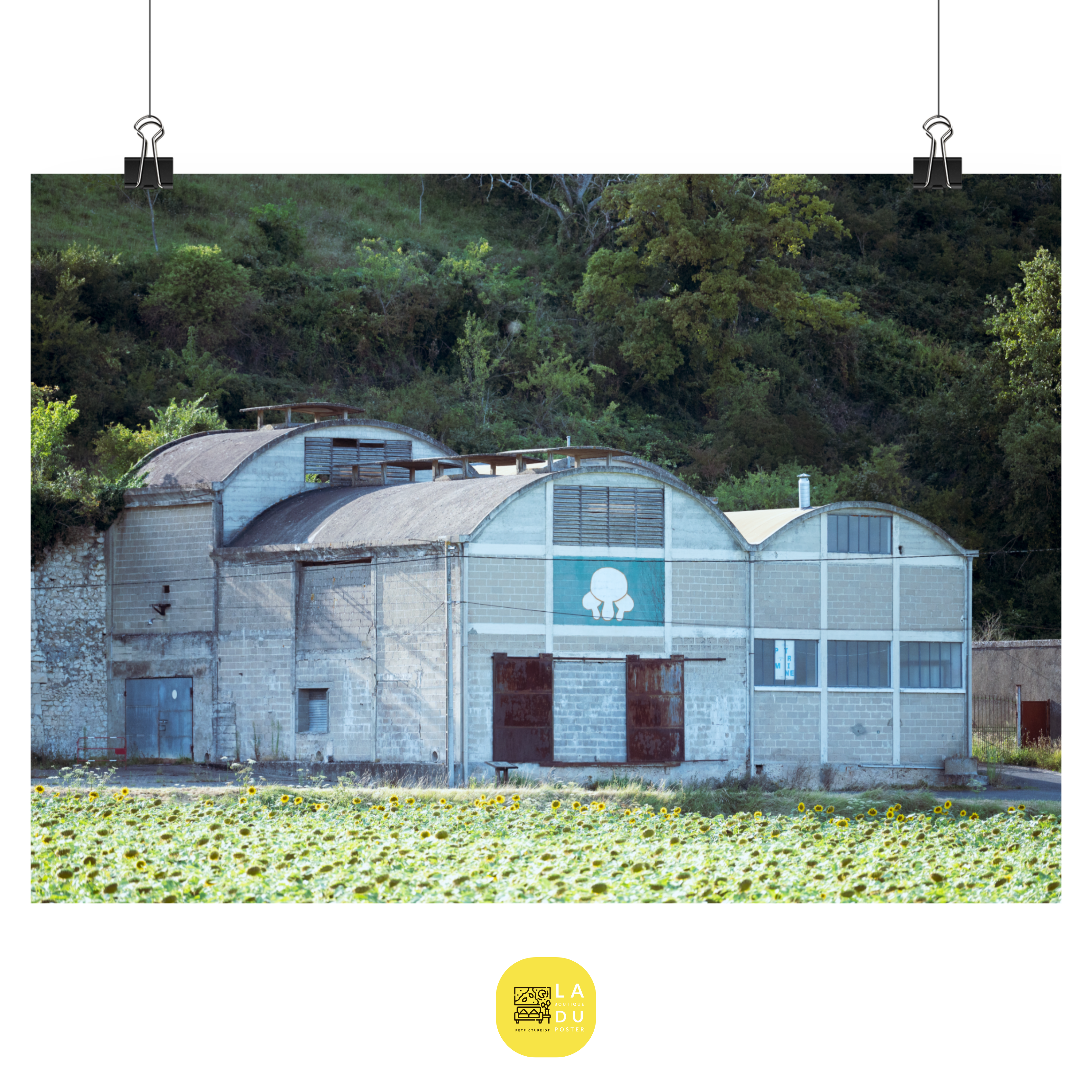 Poster mural - L'usine de champignons – Photographie de voyage – Poster photo, poster XXL, Photo d’art, photographie murale et des posters muraux des photographies de rue unique au monde. La boutique de posters créée par un Photographe français.