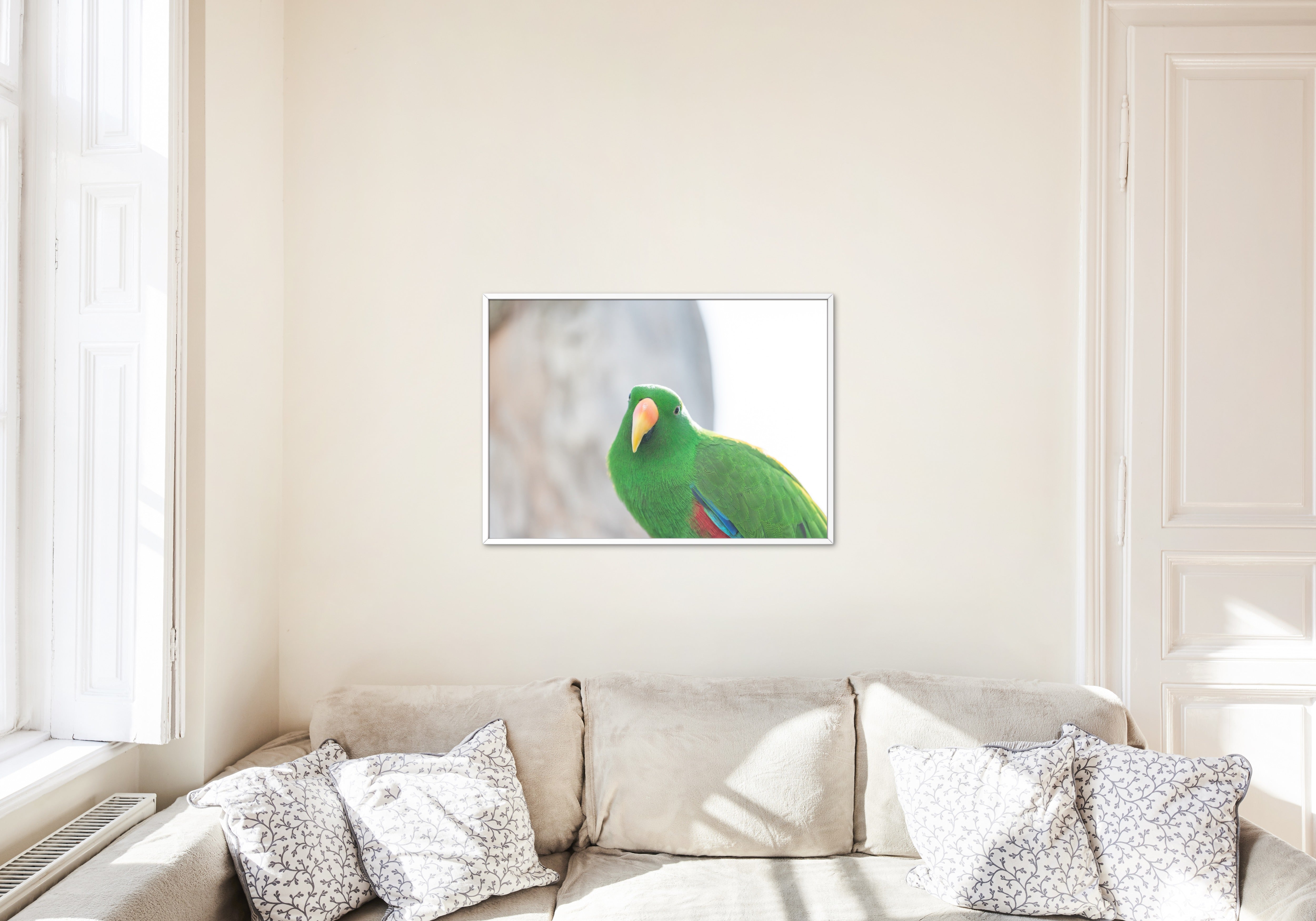 Poster mural - Grand Eclectus N02 – Photographie d'oiseau – Poster photo, poster XXL, Photo d’art, photographie murale et des posters muraux des photographies de rue unique au monde. La boutique de posters créée par un Photographe français.